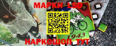 спайс Малгобек
