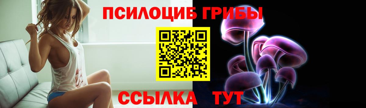 Сорочинск  Галлюциногенные грибы ЛСД  Галлюциногенные грибы мицелий  Вход с VPN 